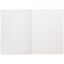 Ежедневник Flat Light, недатированный, иссиня-черный-