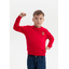 Свитшот детский STAN футер без начёса, 260, 63J, Красный,  (14)  (6/6 лет)-