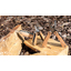 Карманный нож Wood-